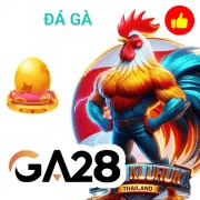 Bắn Cá